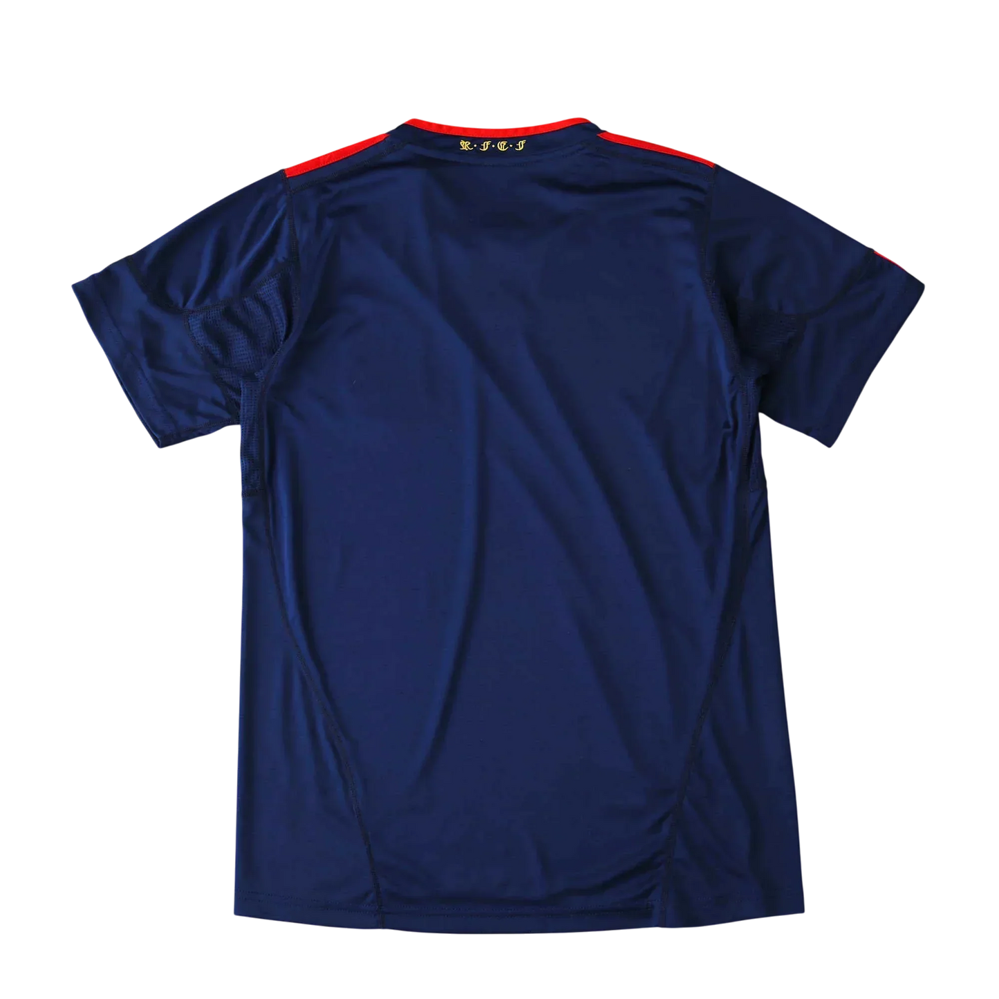 Camisa Espanha II 2010