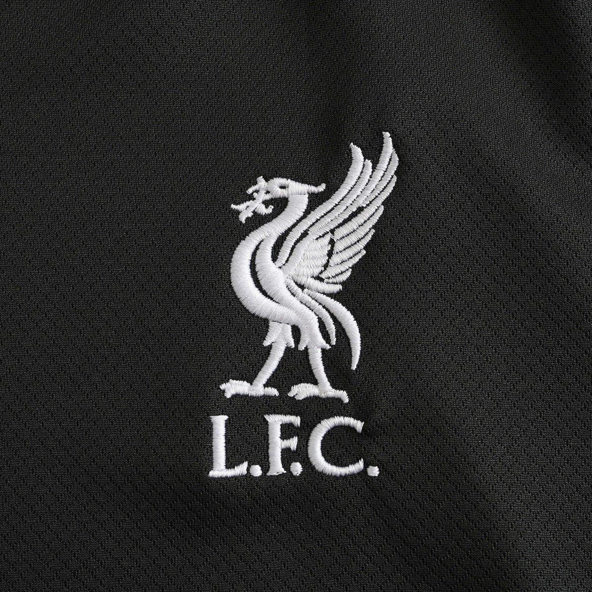 Camisa Liverpool 2024/25 II