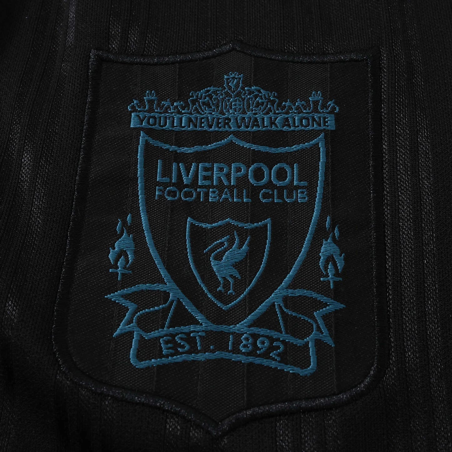 Camisa Liverpool 1995/96 Especial