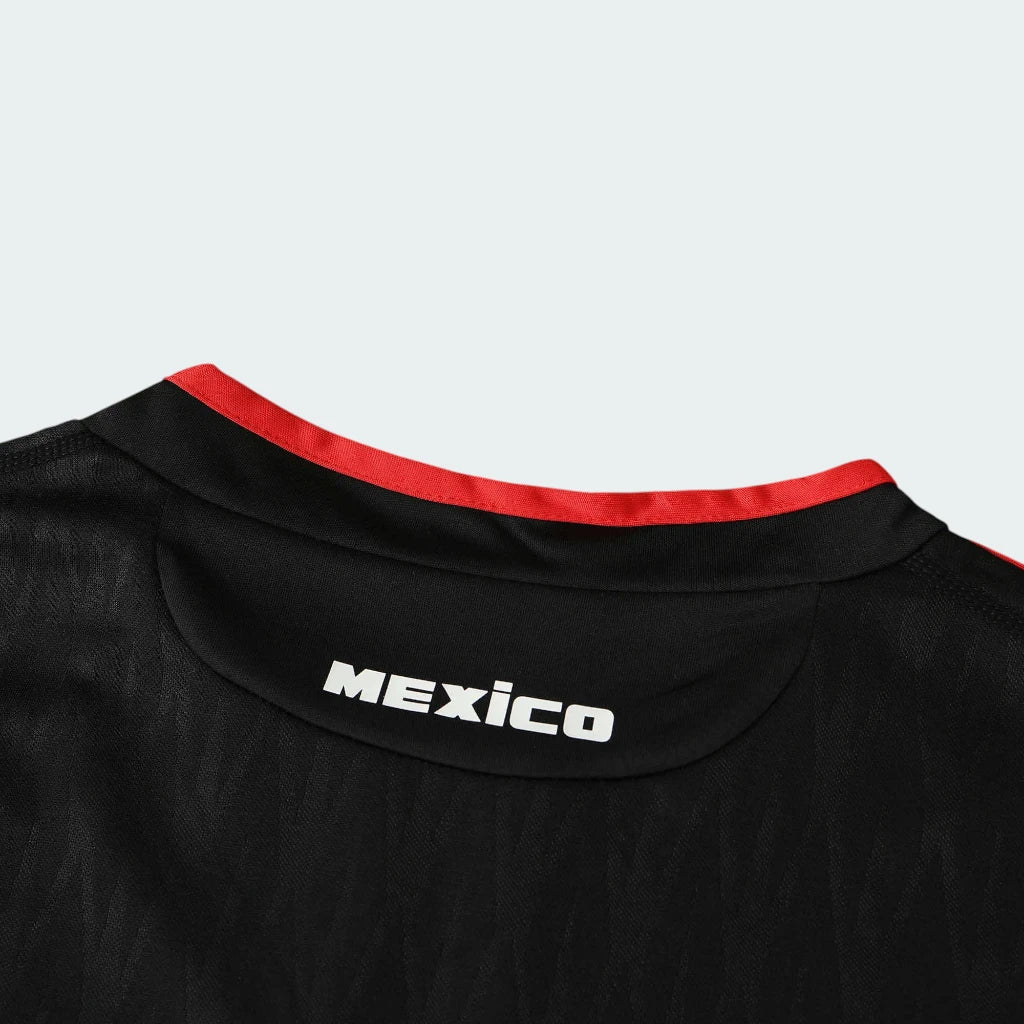 Camisa México 2010 II